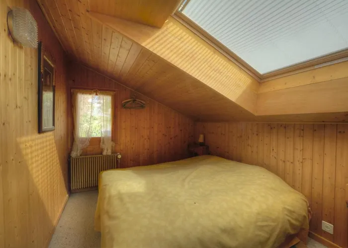 Pas De L Ours 3 Pres Du Centre A Avec Vue Sur Les Alpes