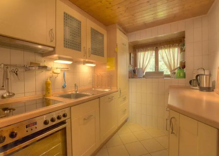 Pas De L Ours 3 Pres Du Centre A Avec Vue Sur Les Alpes Anzère